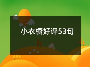 小衣櫥好評(píng)53句