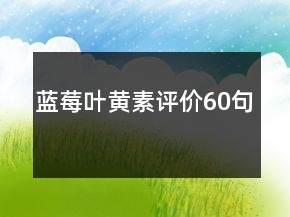 藍(lán)莓葉黃素評(píng)價(jià)60句