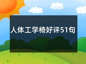 人體工學(xué)椅好評51句