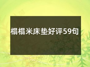 榻榻米床墊好評(píng)59句