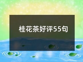 桂花茶好評(píng)55句