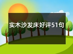 實(shí)木沙發(fā)床好評51句