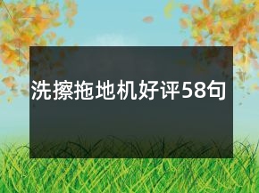 洗擦拖地機好評58句