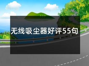 無線吸塵器好評55句