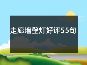 走廊墻壁燈好評(píng)55句