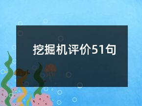 挖掘機(jī)評(píng)價(jià)51句