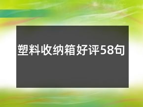 塑料收納箱好評58句