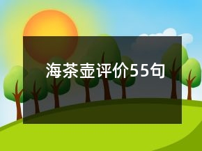 海茶壺評價(jià)55句