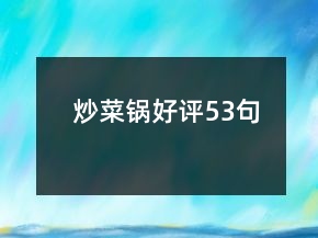 炒菜鍋好評(píng)53句