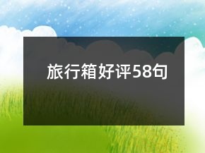 旅行箱好評(píng)58句
