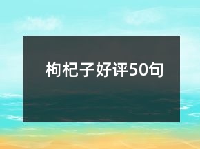 枸杞子好評(píng)50句