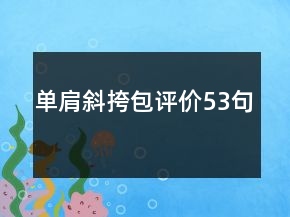 單肩斜挎包評價53句