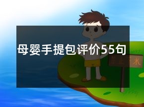 母嬰手提包評(píng)價(jià)55句