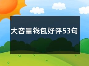 大容量錢包好評(píng)53句