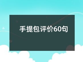 手提包評價(jià)60句