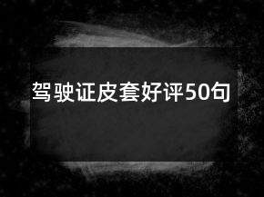 駕駛證皮套好評(píng)50句