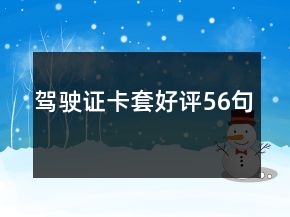駕駛證卡套好評56句