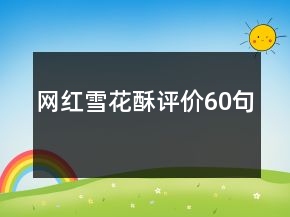 網(wǎng)紅雪花酥評價(jià)60句
