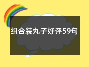 組合裝丸子好評59句