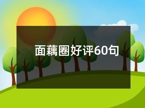 面藕圈好評60句
