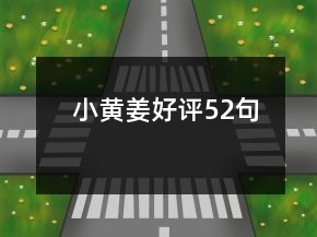 小黃姜好評(píng)52句