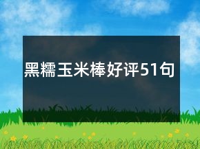 黑糯玉米棒好評51句