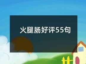 火腿腸好評55句