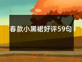 春款小黑裙好評(píng)59句