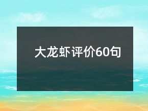 大龍蝦評價60句