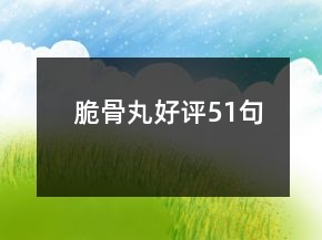脆骨丸好評(píng)51句