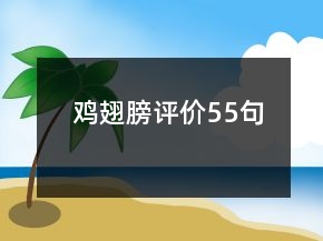 雞翅膀評(píng)價(jià)55句