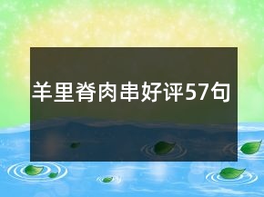 羊里脊肉串好評57句
