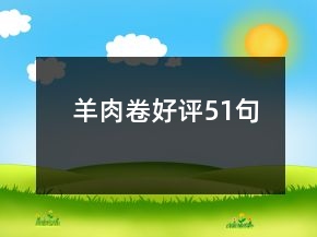 羊肉卷好評51句