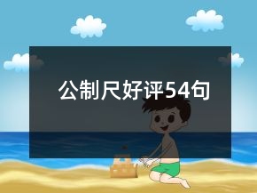 公制尺好評(píng)54句