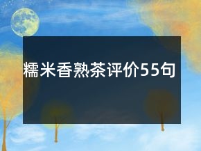 糯米香熟茶評(píng)價(jià)55句