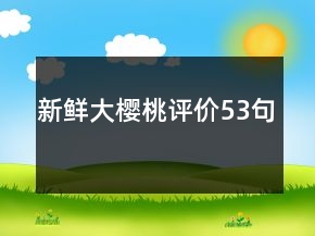 新鮮大櫻桃評(píng)價(jià)53句