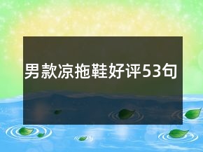 男款涼拖鞋好評53句