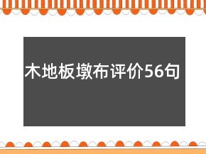 木地板墩布評價(jià)56句