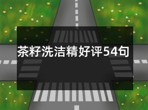 茶籽洗潔精好評54句