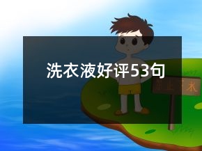 洗衣液好評53句