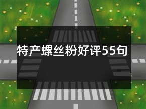 特產(chǎn)螺絲粉好評55句