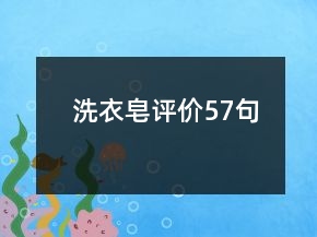 洗衣皂評(píng)價(jià)57句
