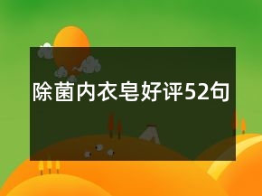 除菌內衣皂好評52句