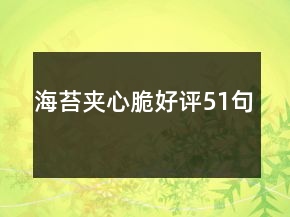 海苔夾心脆好評51句