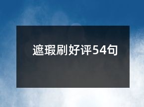 遮瑕刷好評(píng)54句
