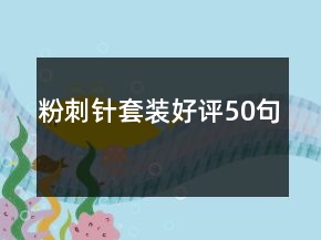 粉刺針套裝好評50句