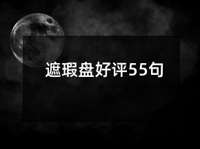 遮瑕盤好評55句