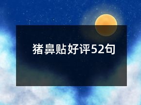 豬鼻貼好評(píng)52句