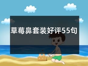 草莓鼻套裝好評55句