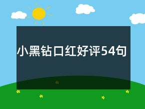 小黑鉆口紅好評(píng)54句